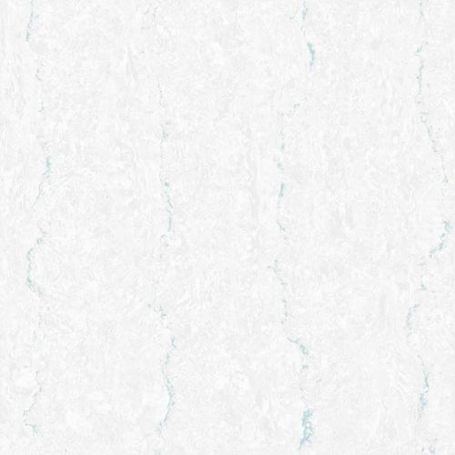 Polished Twin Charge Vitrified Tiles