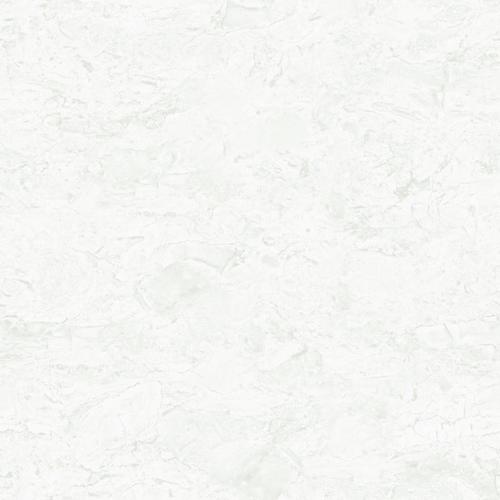 White Twin Charge Vitrified Tiles