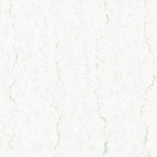 Decorative Twin Charge Vitrified Tiles