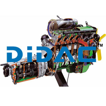 Multipoint Electronic Fuel Injection DOHC Petrol Engine Gearbox Cutaway