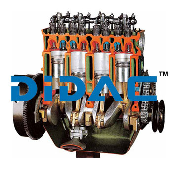 OHV Petrol Engine with Timing Chain Cutaway