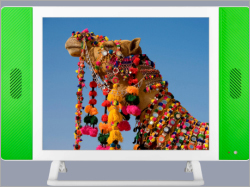 HD LED TV
