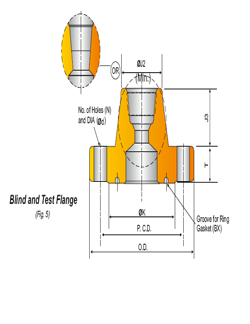 BLIND AND TEST FLANGES