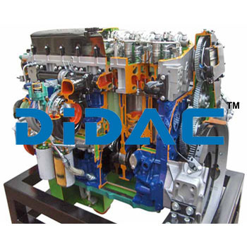 HGV Diesel Engine with Electronically Controlled Pump Injectors Cutaway By DIDAC INTERNATIONAL