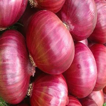 Preserved Onion