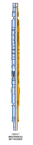MODEL TST-1 MECHANICAL SET PACKER - Mild Steel & Stainless Steel, Heavy Duty Hydraulic Hold Down, High Pressure Resistance, Three Element Packing System, Automatic Bypass Valve