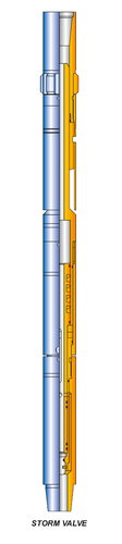 STORM VALVE