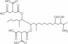 Fumonisin B1-13C34 solution