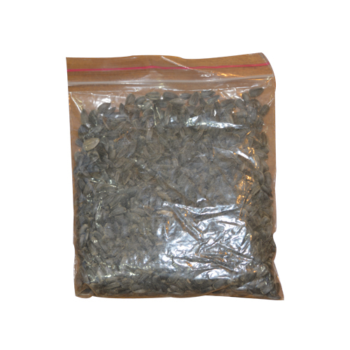 SunFlower Seed