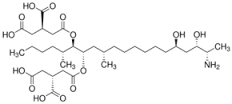 Fumonisin B2-13C34 solution
