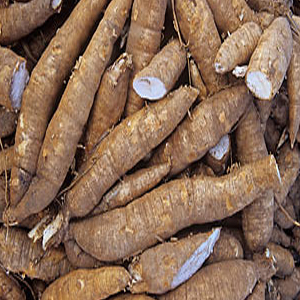 Cassava Chips