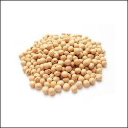 Soya Beans