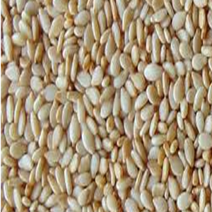 Sesame Seeds