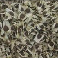 Moringa Seeds