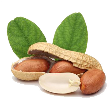 Peanut