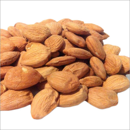 Apricot Kernel