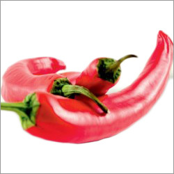 Chilli