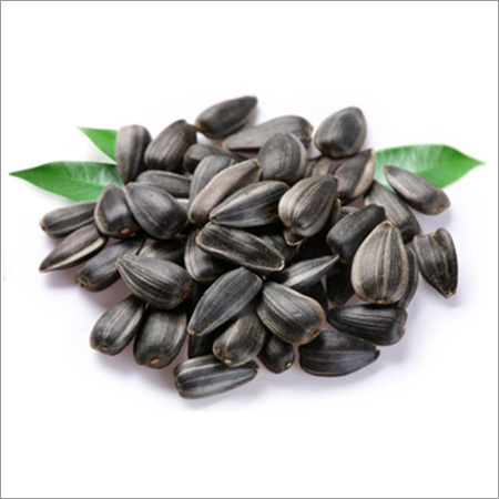 Sunflower Seeds