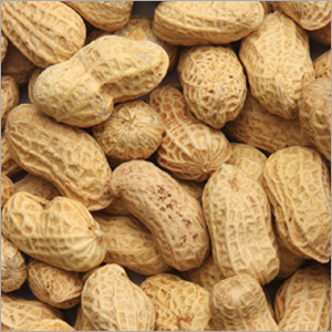 Organic Peanuts