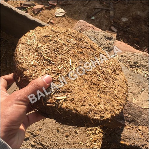 Cow Dung
