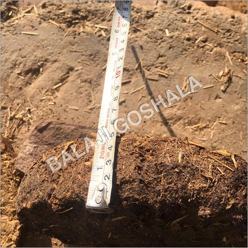 4709 Organic Dried Cow Dung