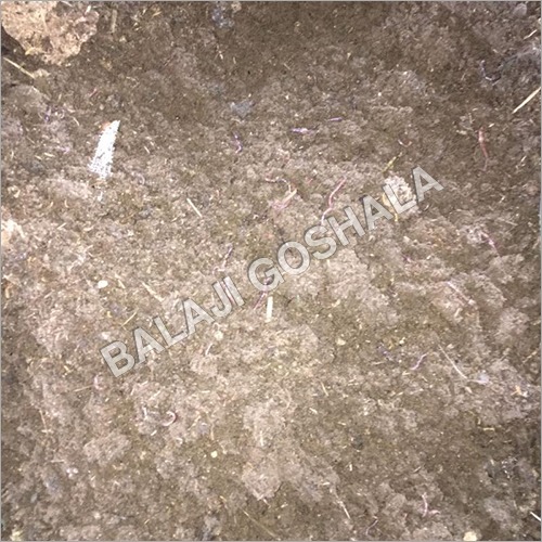 Agriculture Vermicompost