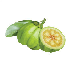Garcinia Cambogia Extract Garcinia Cambogia Extract