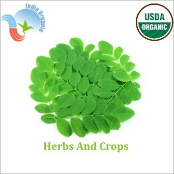 USDA Organic Moringa Powder USDA Organic Moringa Powder