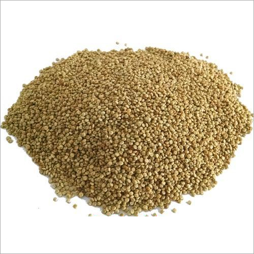 Quinoa Seeds Quinoa Seeds