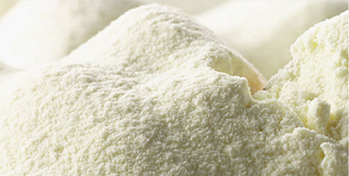 43 - Variable Fat Content, Moisture & PH | Creamy Texture, Rich Flavor, Versatile Dairy Use