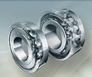 INA Ball Roller Bearings