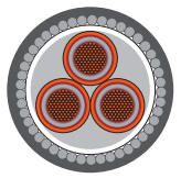 6 KV XLPE SWA Three Core Cable