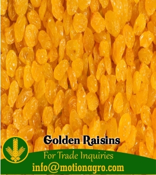 Common Golden Raisins Sultanas