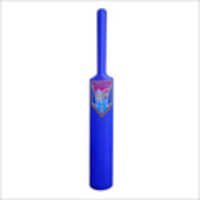 Junior Plastic Cricket Bat