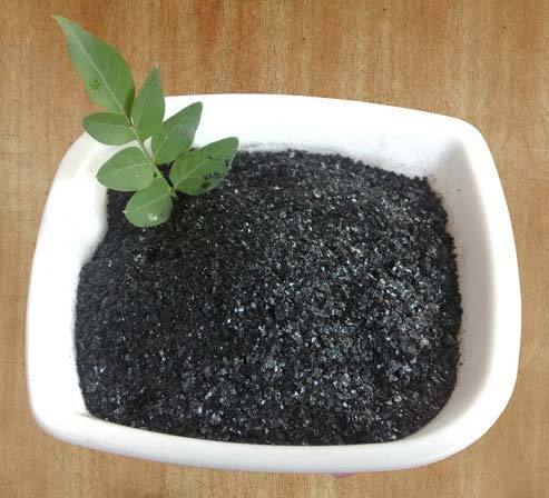 Super Potassium F Humate Shiny Flakes - High-Quality Organic Fertilizer | Eco-Friendly, Nutrient-Rich Soil Enhancer