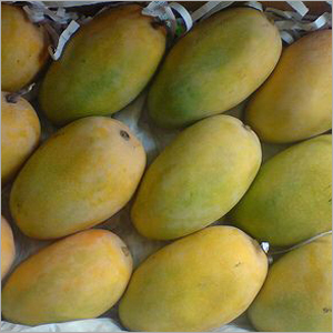Kesar Mangoes
