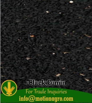 Black Cumin Seeds / Kalonji Seeds