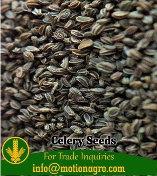 Celery Seeds