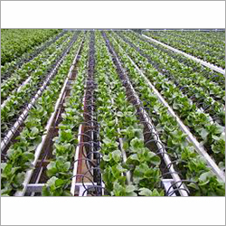 Drip Irrigation System
