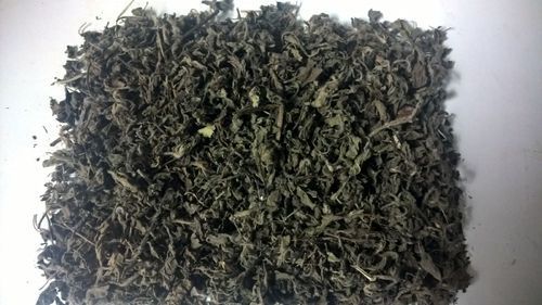 Dried Tulsi Leaves Dried Tulsi Leaves