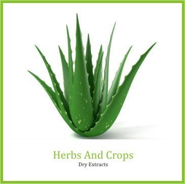Green Aloe Vera Extract