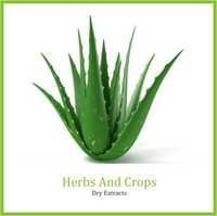 Aloe Vera Extract