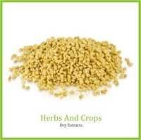 Fenugreek Extract