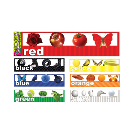 Learn Color Border
