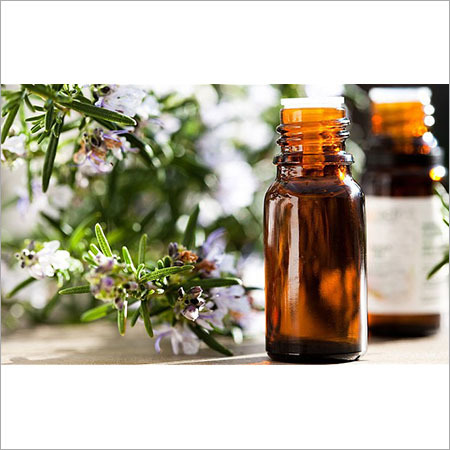 Rosemary Essential Oil - 100% Pure, Steam-Distilled Extract | Herbal Aroma, Pain Relief, Mental Clarity, Natural Antiseptic