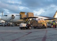 ताजा फल कस्टम क्लियरिंग एजेंट