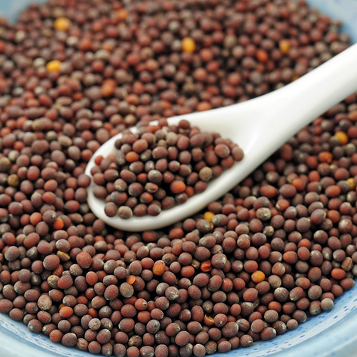 Spices and Seasonings