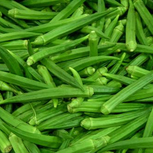 Organic Lady Finger