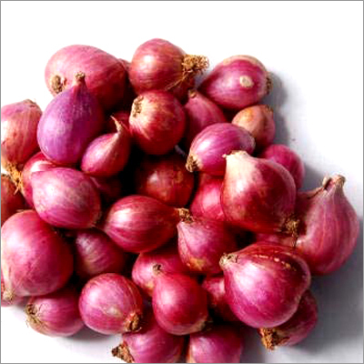 Red Fresh Onion