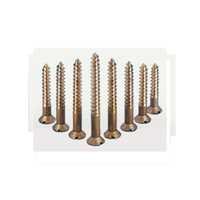 Aluminium Bronze Screws